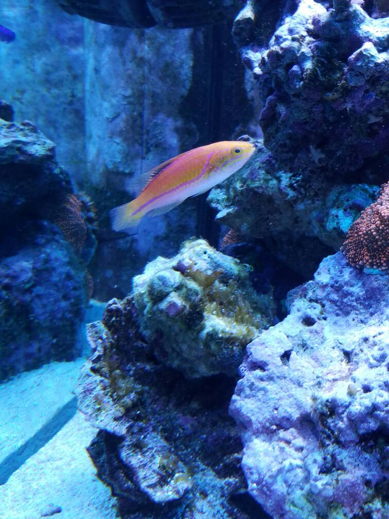 20170205_213142.jpeg