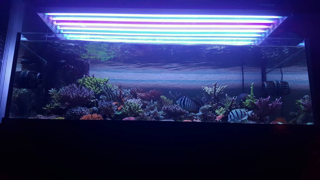 20170207_184944-01.jpeg