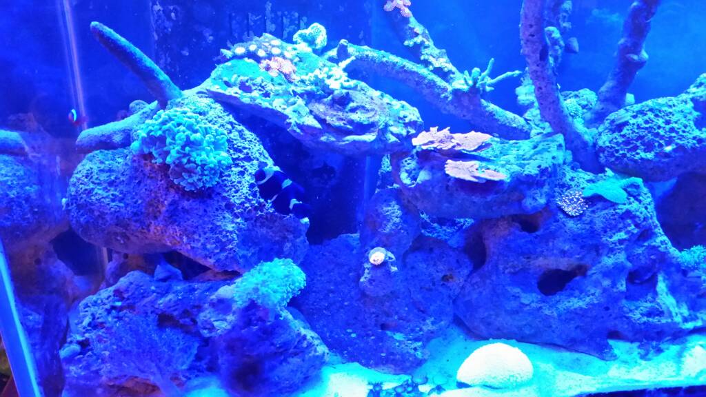 20170213_203129.jpeg