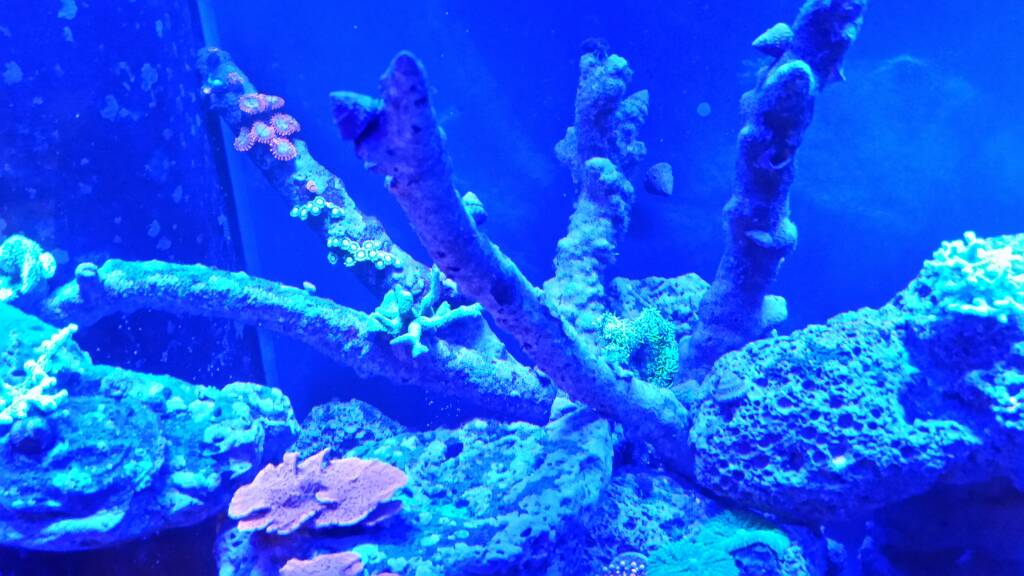 20170213_203137.jpeg