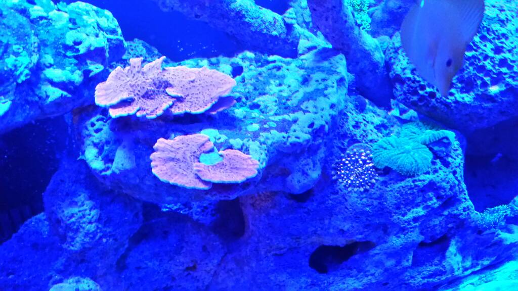 20170213_203227.jpeg