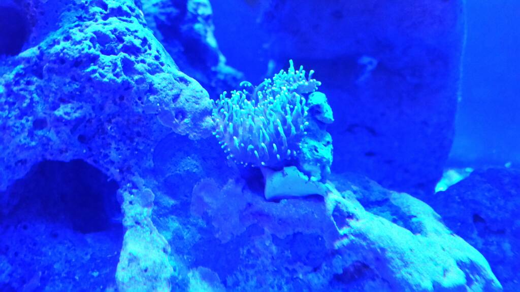 20170213_203238.jpeg