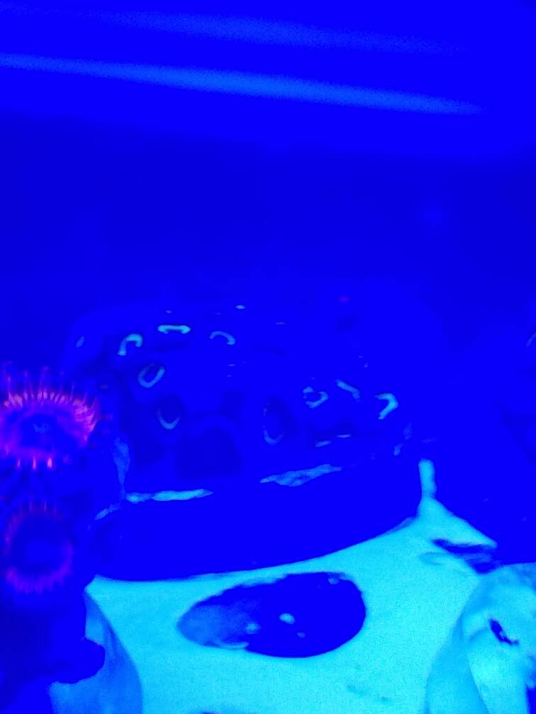 20170214_120715.jpeg