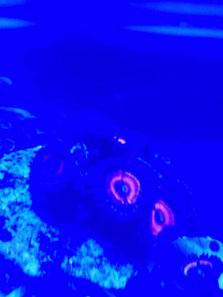 20170214_120719.jpeg