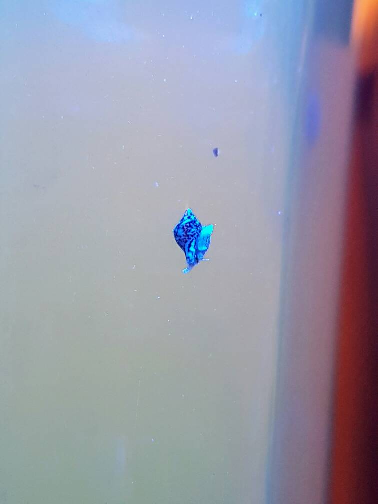 20170214_205543%7E2.jpeg