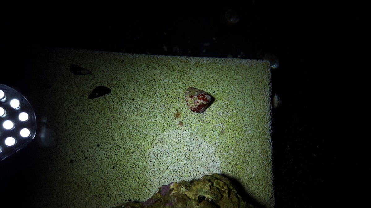 20170216_052847.jpg