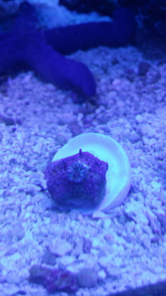 20170216_162514.jpeg