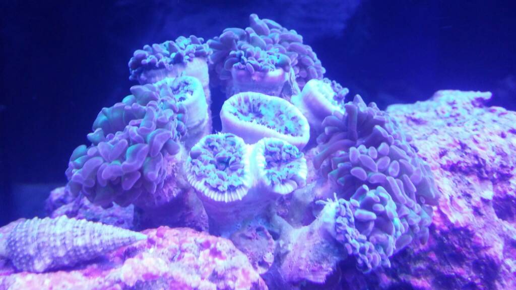 20170216_190127.jpeg