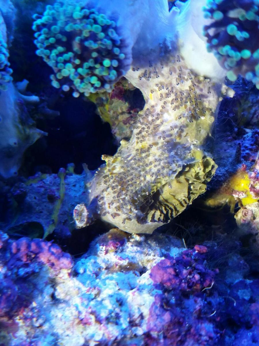 20170217_090034.jpg