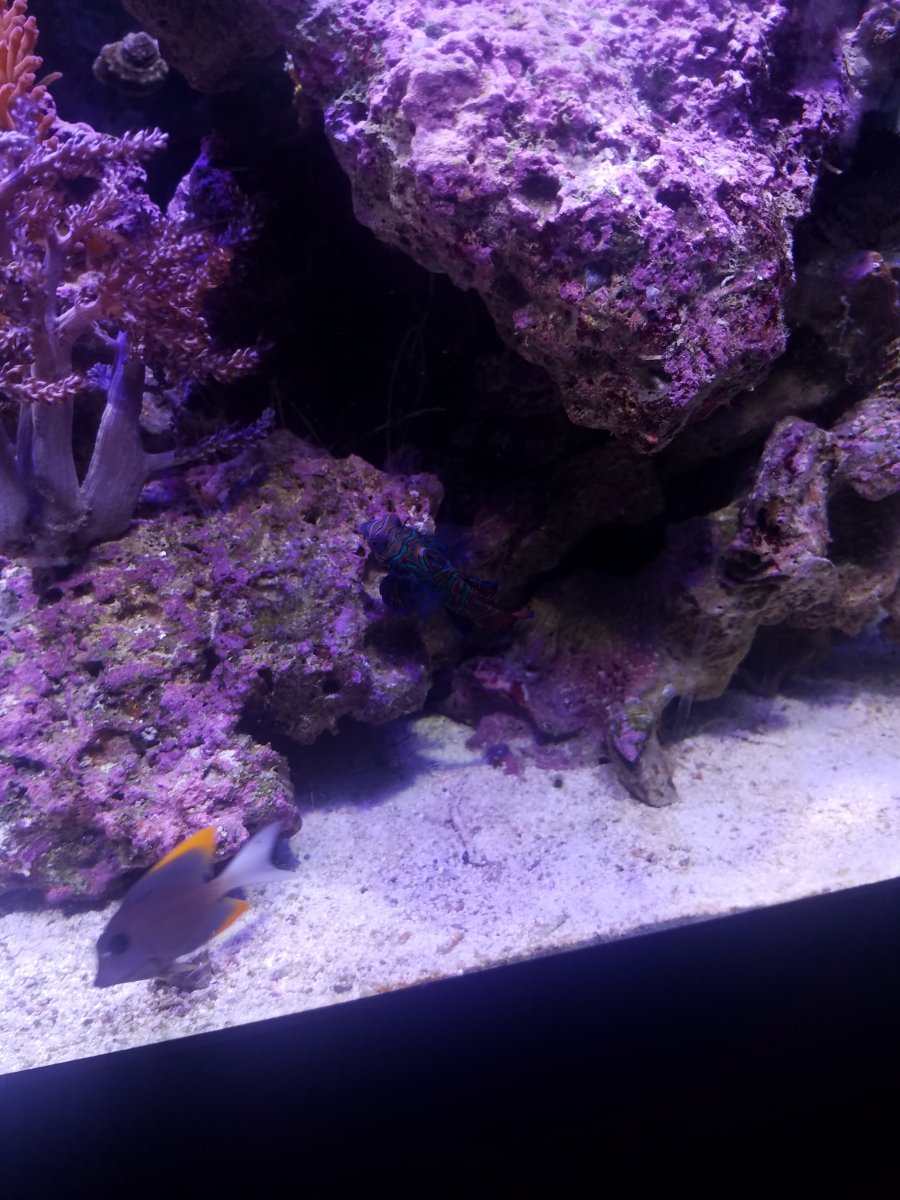 20170218_113317.jpg