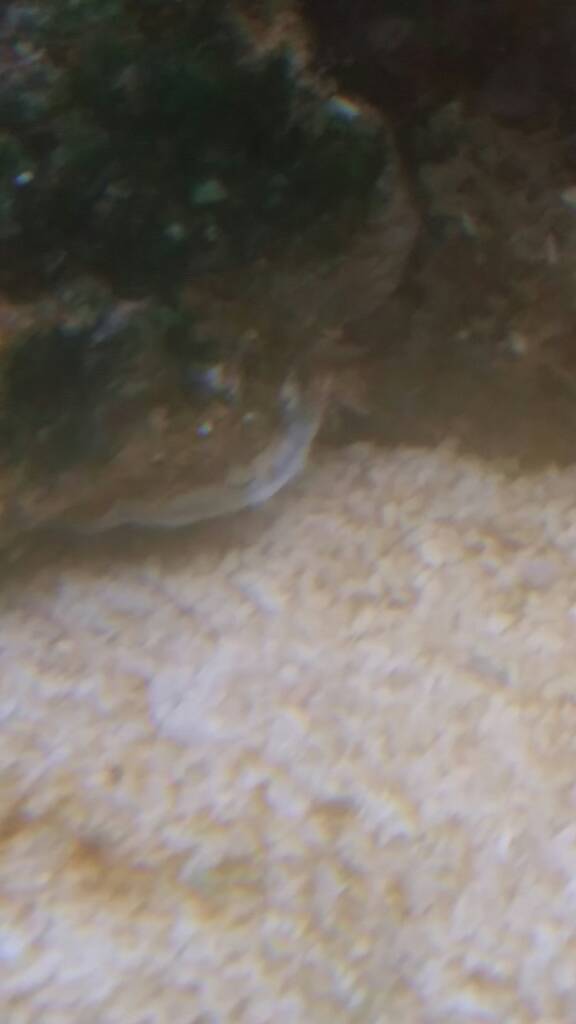 20170218_144430.jpeg