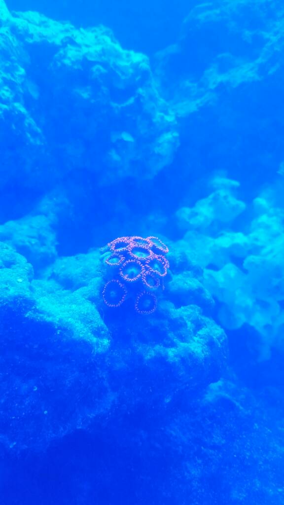 20170219_180502.jpeg