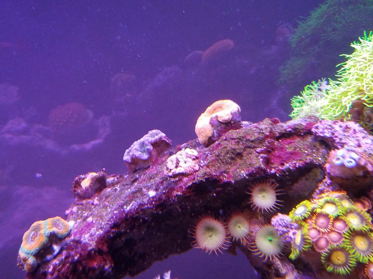 20170220_102014.jpg