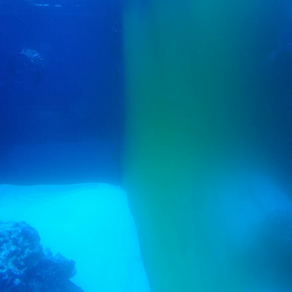 20170220_165626.jpeg