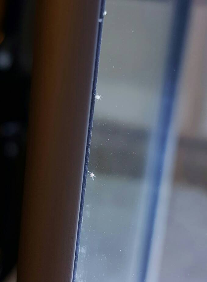 20170221_134609.jpeg
