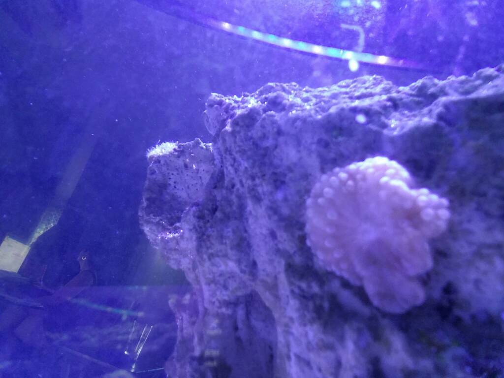 20170223_173846.jpg