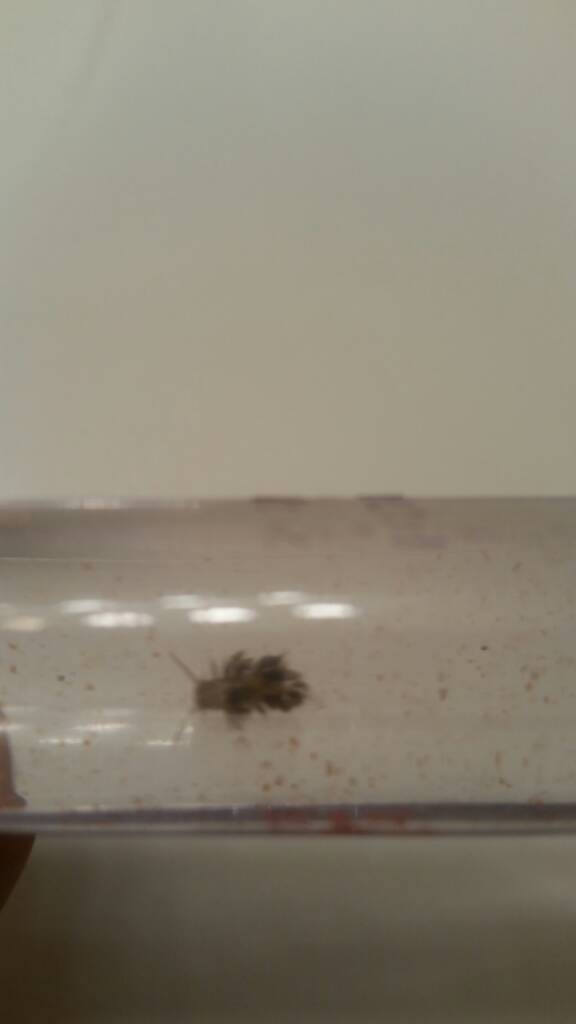 20170223_190921.jpeg