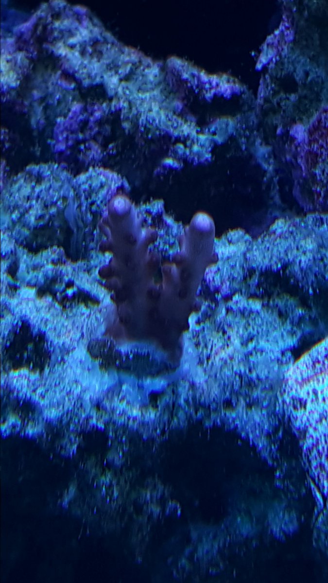 20170224_150421.jpg