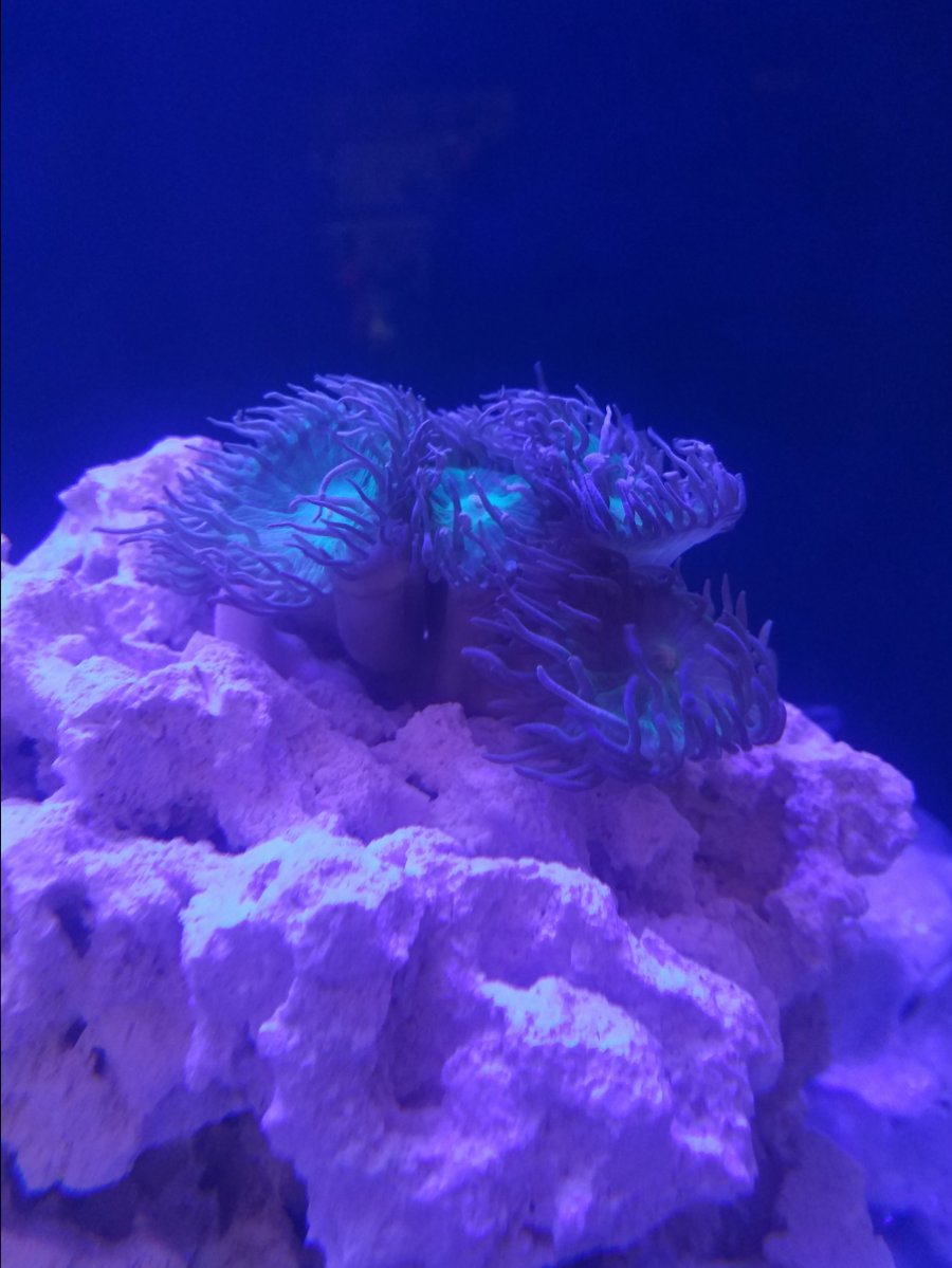 20170226_093223.jpg