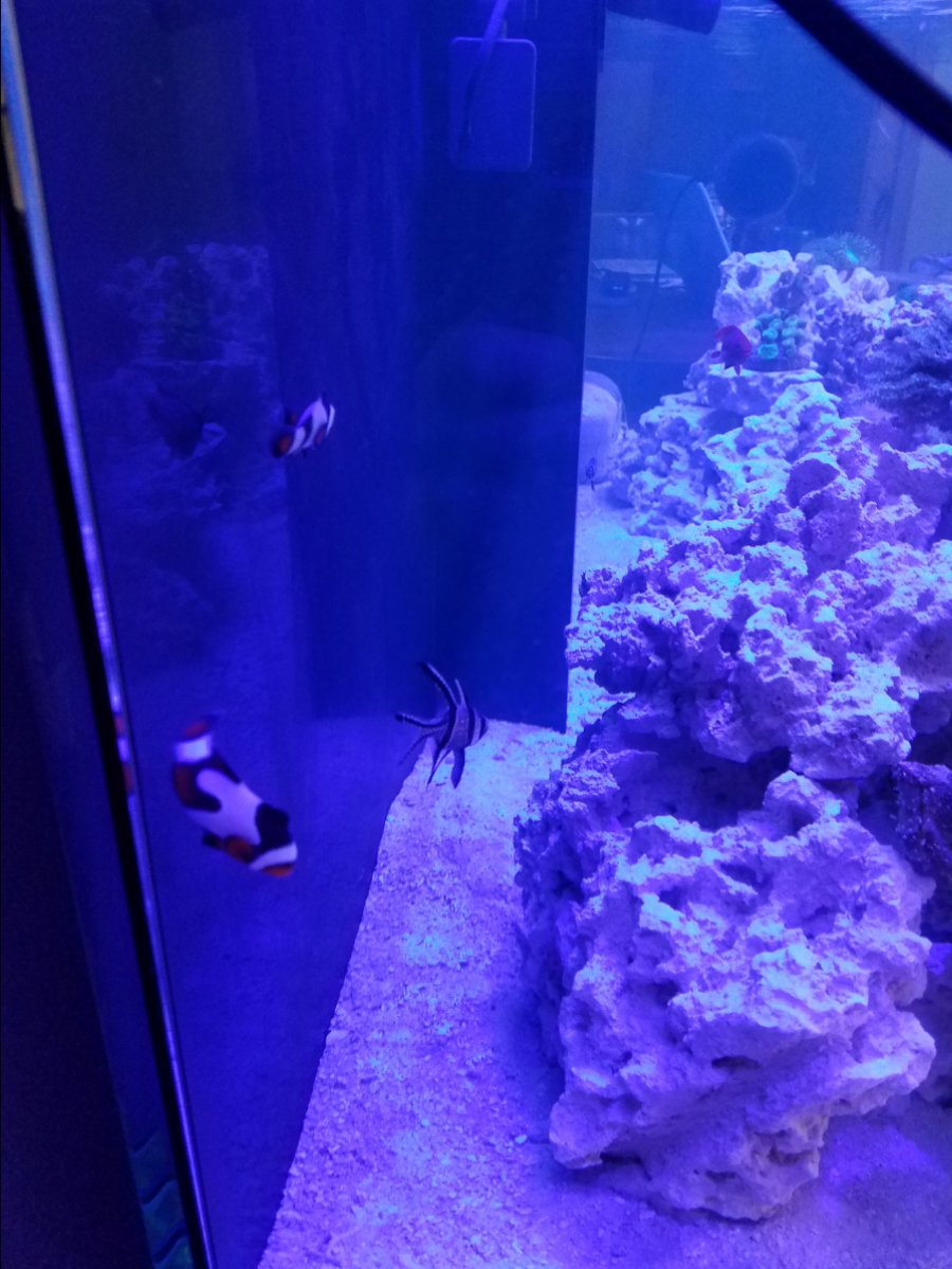 20170226_093515.jpg