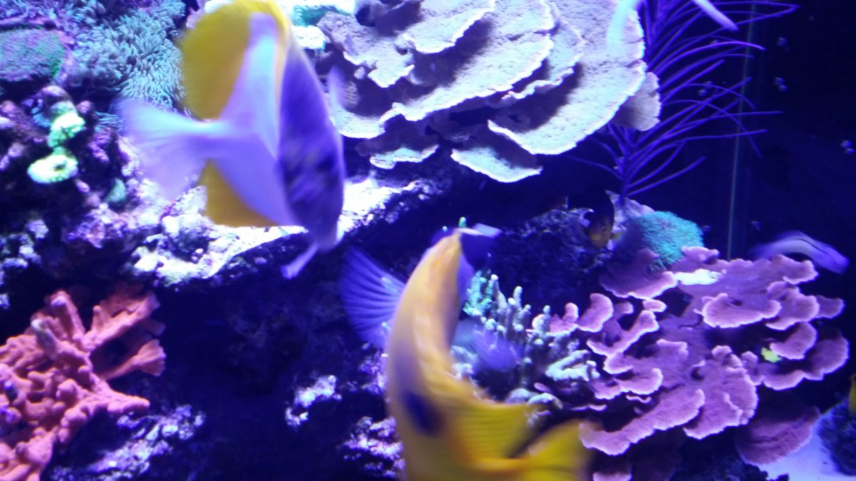 20170226_125357.jpg