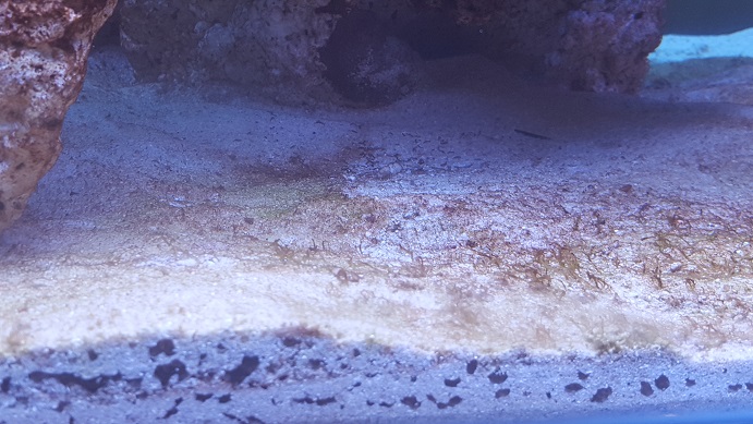 20170302_165824.jpg