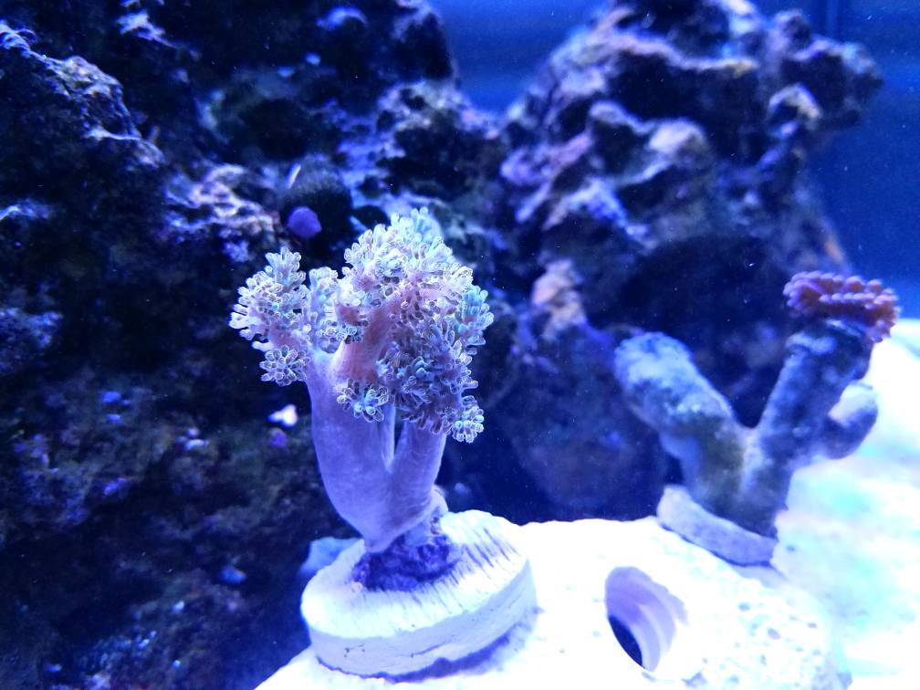 20170302_173724.jpg