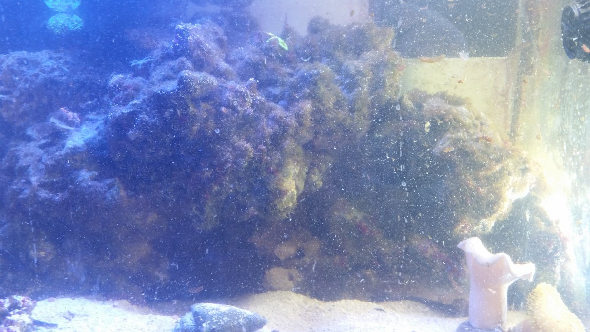 20170305_164949.jpg