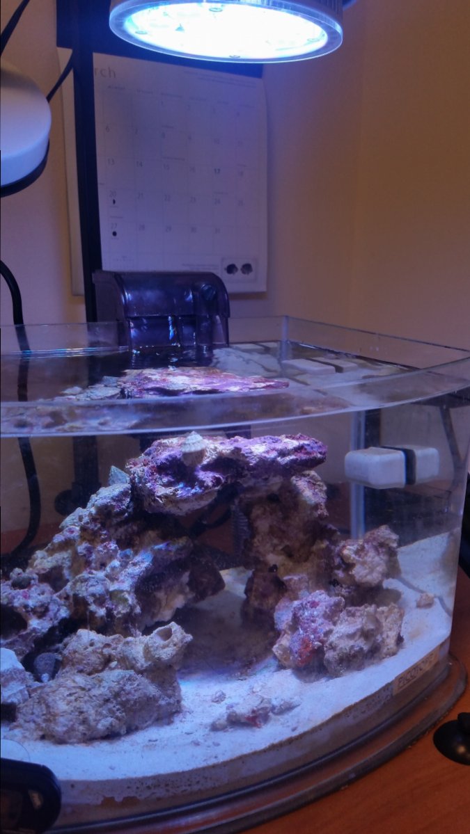 20170314_112554.jpg