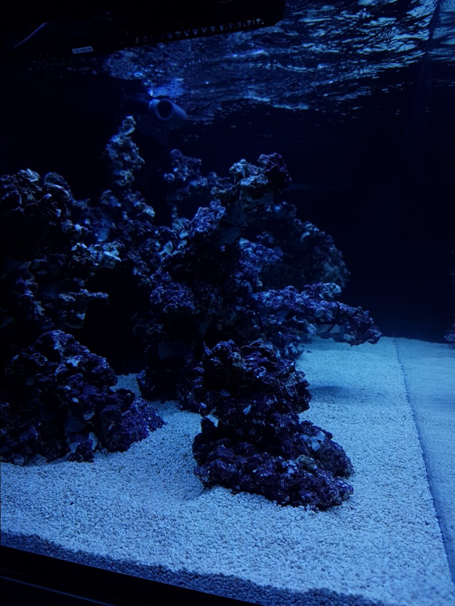 20170315_210644.jpg