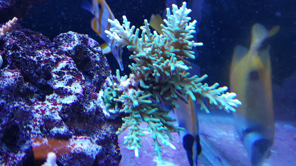 20170316_172011.jpg