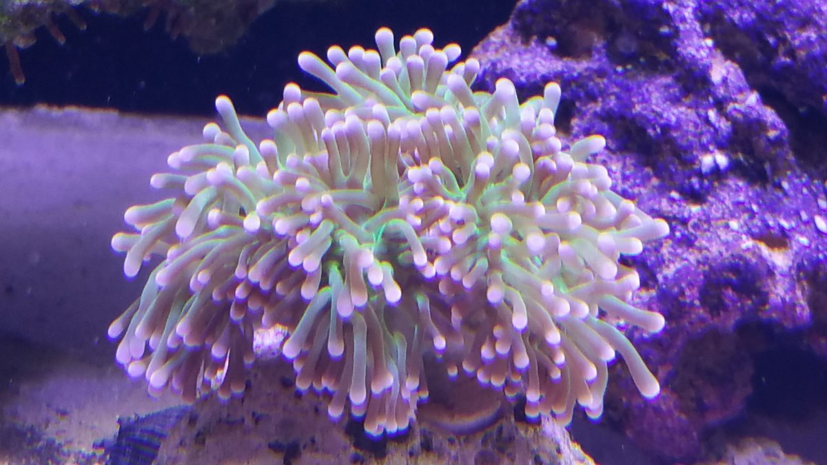 20170327_165355.jpg