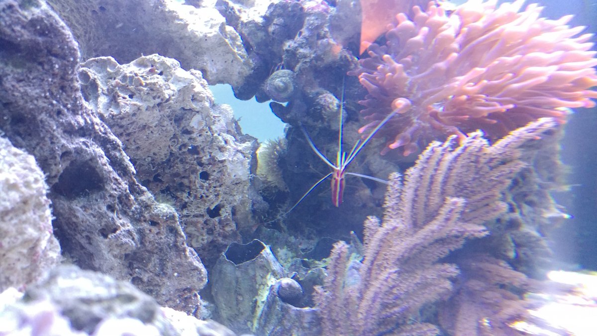 20170327_171553.jpg