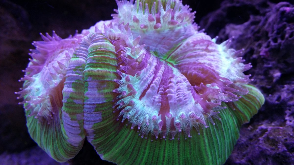 20170327_204921.jpg