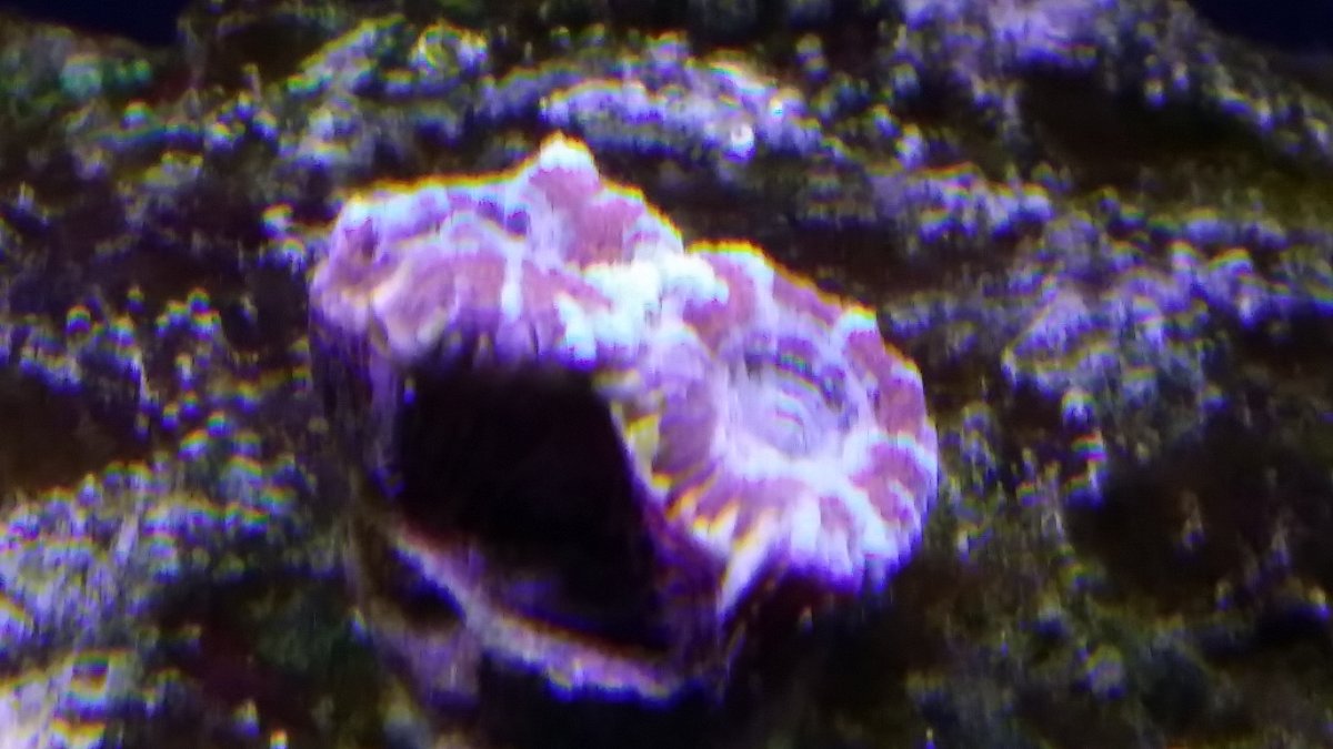 20170331_210704.jpg