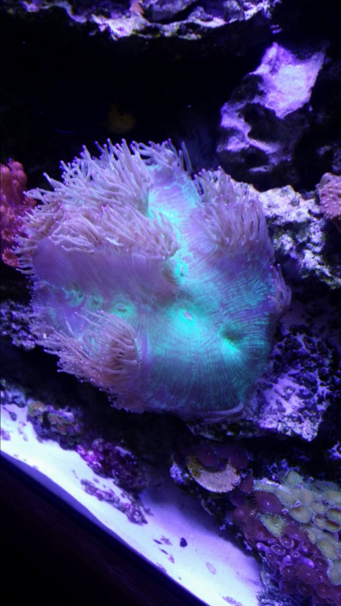 20170401_084733.jpg