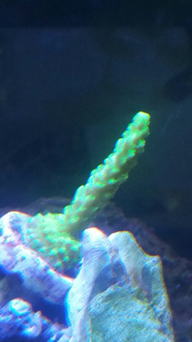20170401_170933.jpg