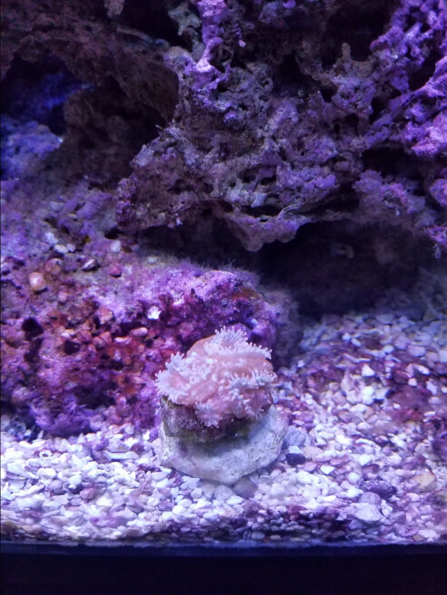 20170402_171909.jpg