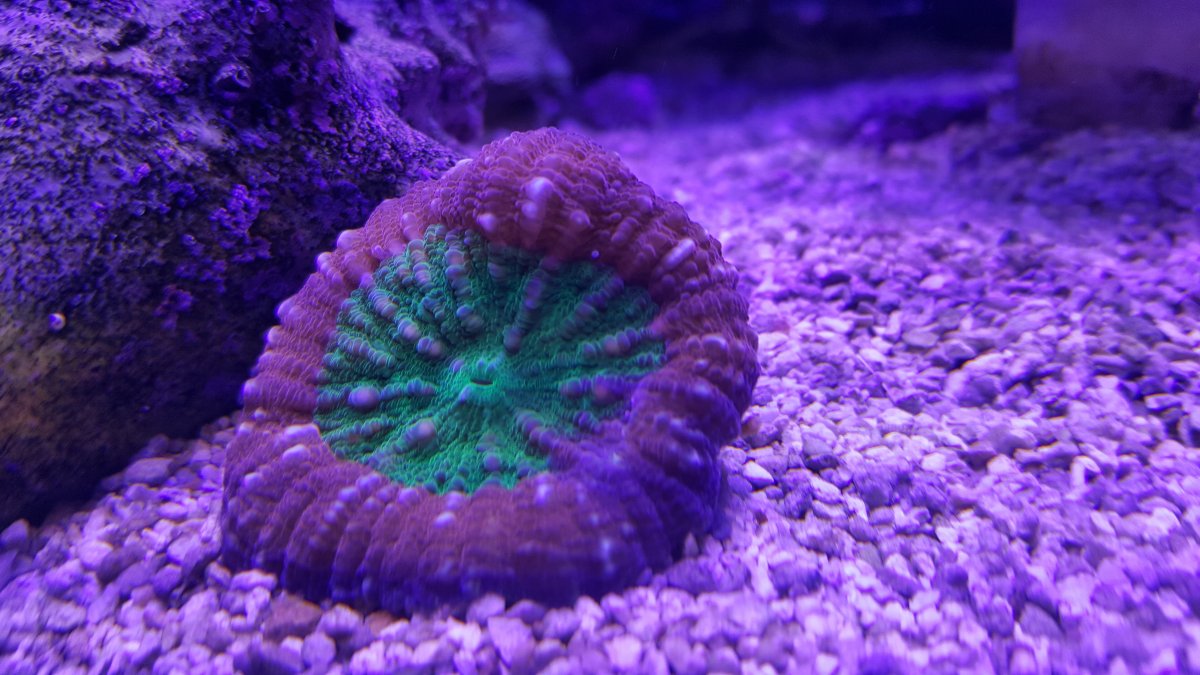 20170409_143941.jpg