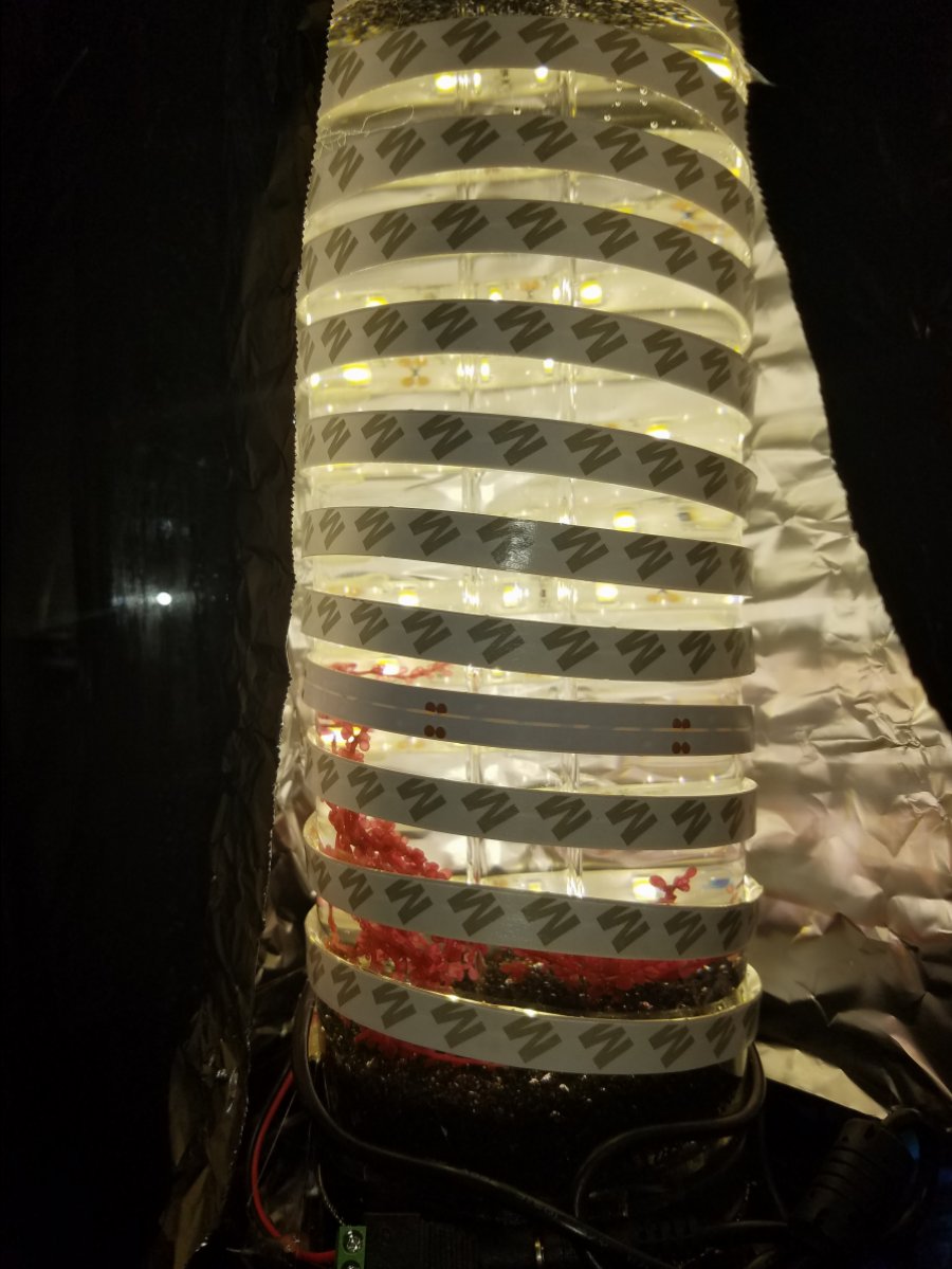 20170421_153113.jpg
