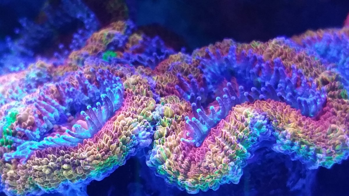 20170427_222249.jpg