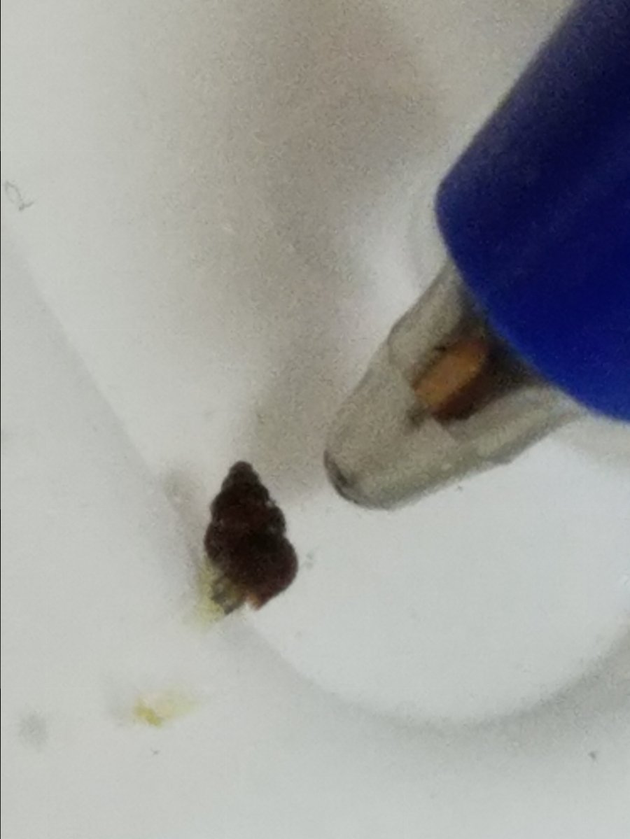 20170429_170306.jpg