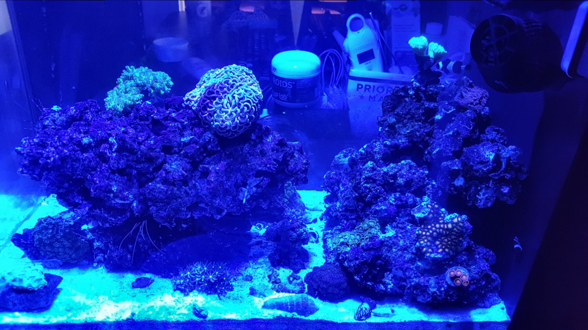 20170513_081646.jpg