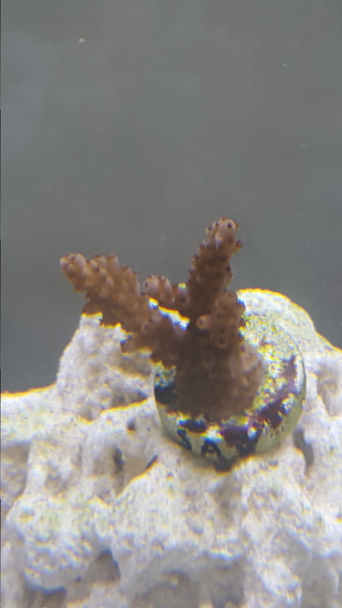 20170514_125019.jpg