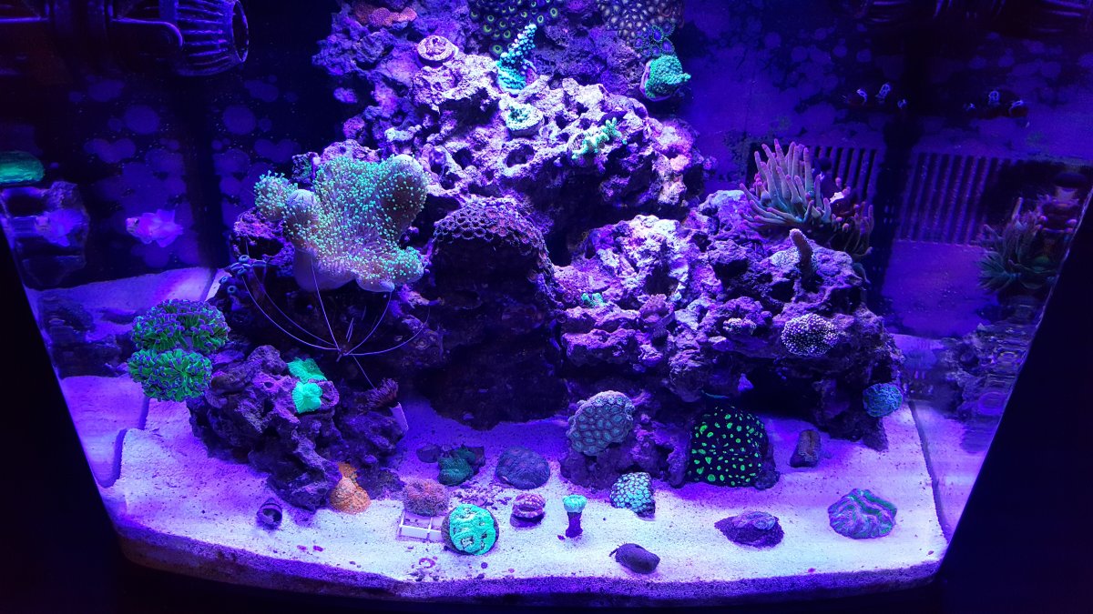 20170516_214744.jpg