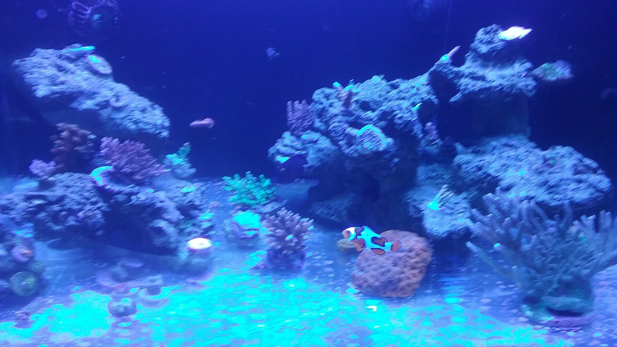 20170517_174833.jpg