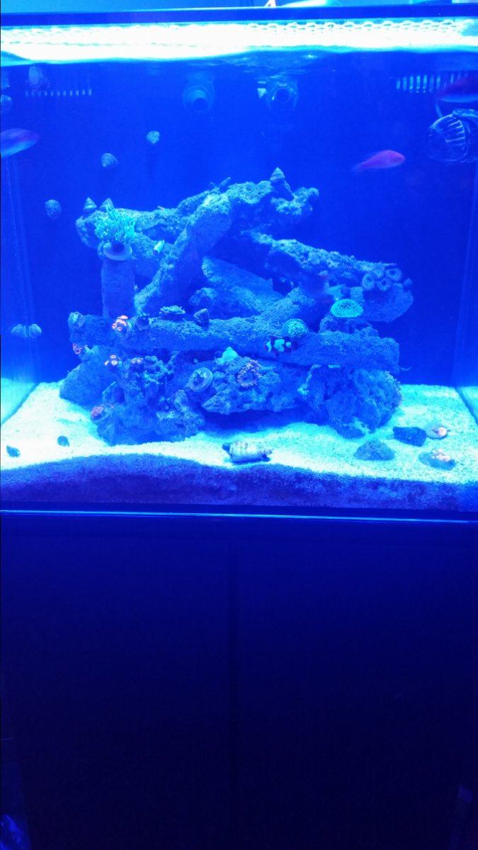 20170517_201522.jpg