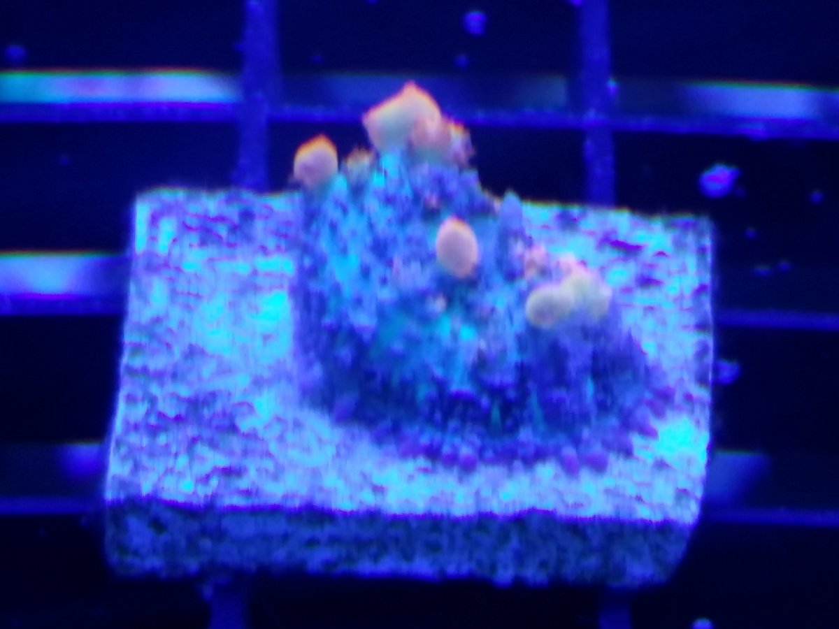 20170523_201734.jpg