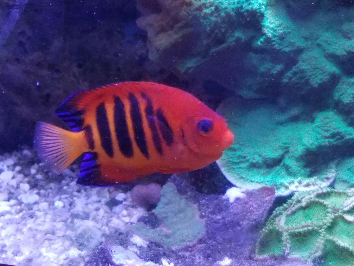 20170526_135754.jpg