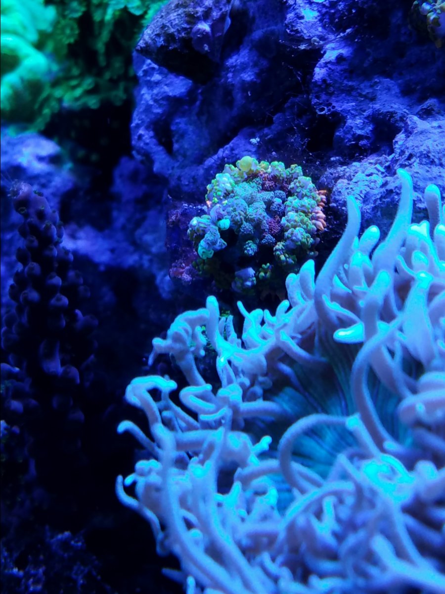 20170528_102926.jpg